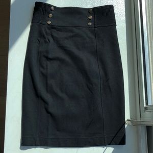 Express Pencil Skirt